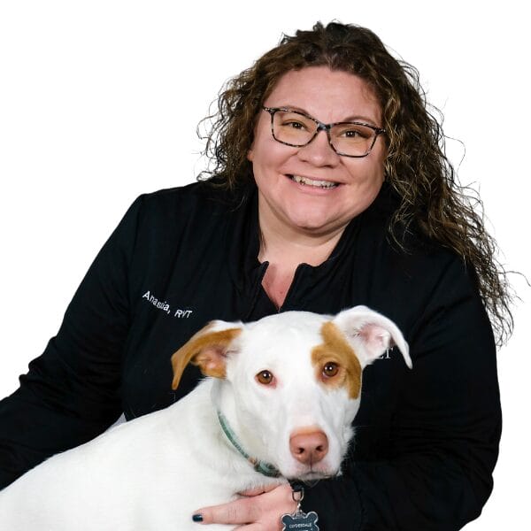 Anastacia Landis