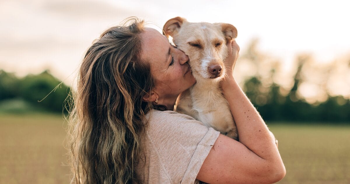 providing care for pets with chronic conditions
