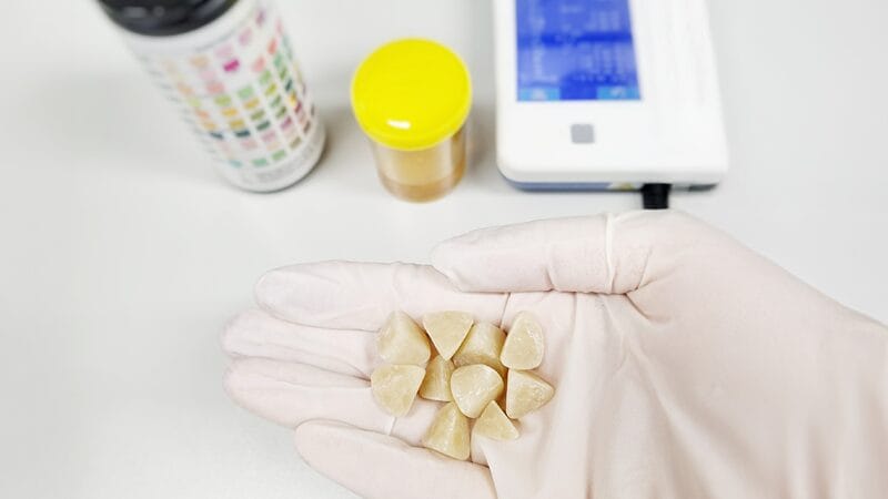 kidney-stones-in-pets