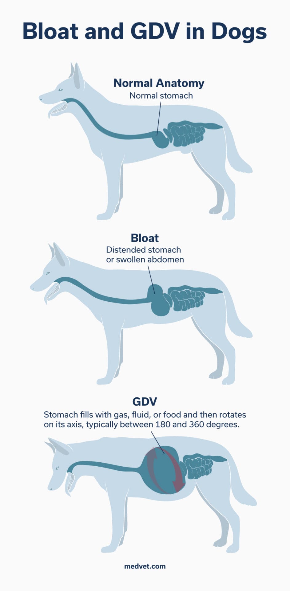 Adm_GDV-in-Dogs_MKTG_260323_F