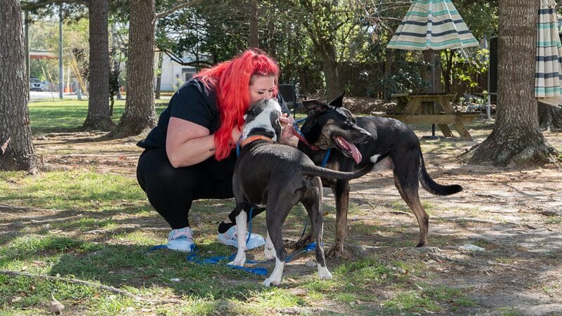 keeing-your-pet-routine-like-walks-and-playtime