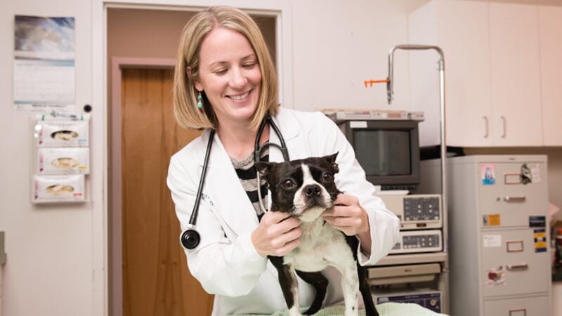 medial-oncology-veterinary-specialty-service