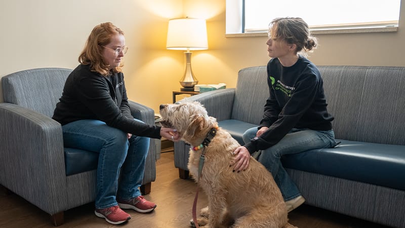 medvet-what-does-a-veterinary-social-worker-do